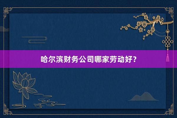 哈尔滨财务公司哪家劳动好？