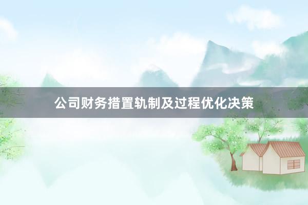 公司财务措置轨制及过程优化决策
